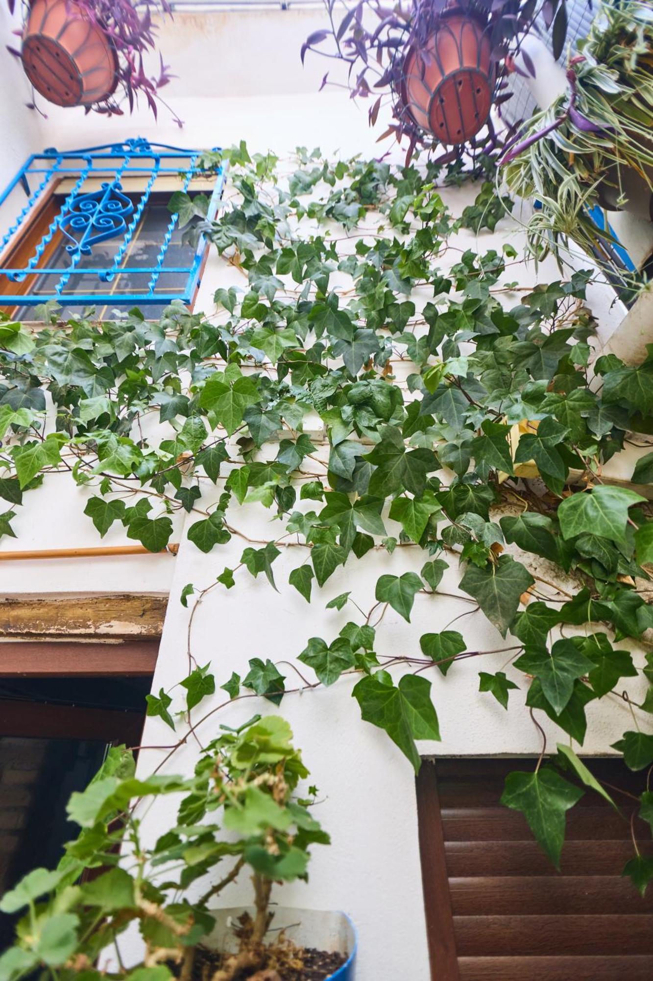 Casa El "Tablao De Las Almendras" Granada Exterior photo